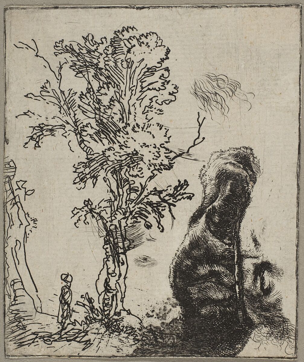 Sheet with Two Studies:  A Tree and the Upper Part of a Head of Rembrandt Wearing a Velvet Cap, Rembrandt (Rembrandt van Rijn)  Dutch, Etching; only state