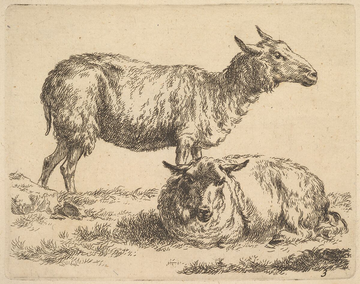 Plate from "The Set of Sheep", Nicolaes Berchem (Dutch, Haarlem 1621/22–1683 Amsterdam), Etching 
