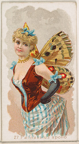 Card 27, Parnassius Apollo, from the Butterflies series (N183) issued by Wm. S. Kimball & Co.